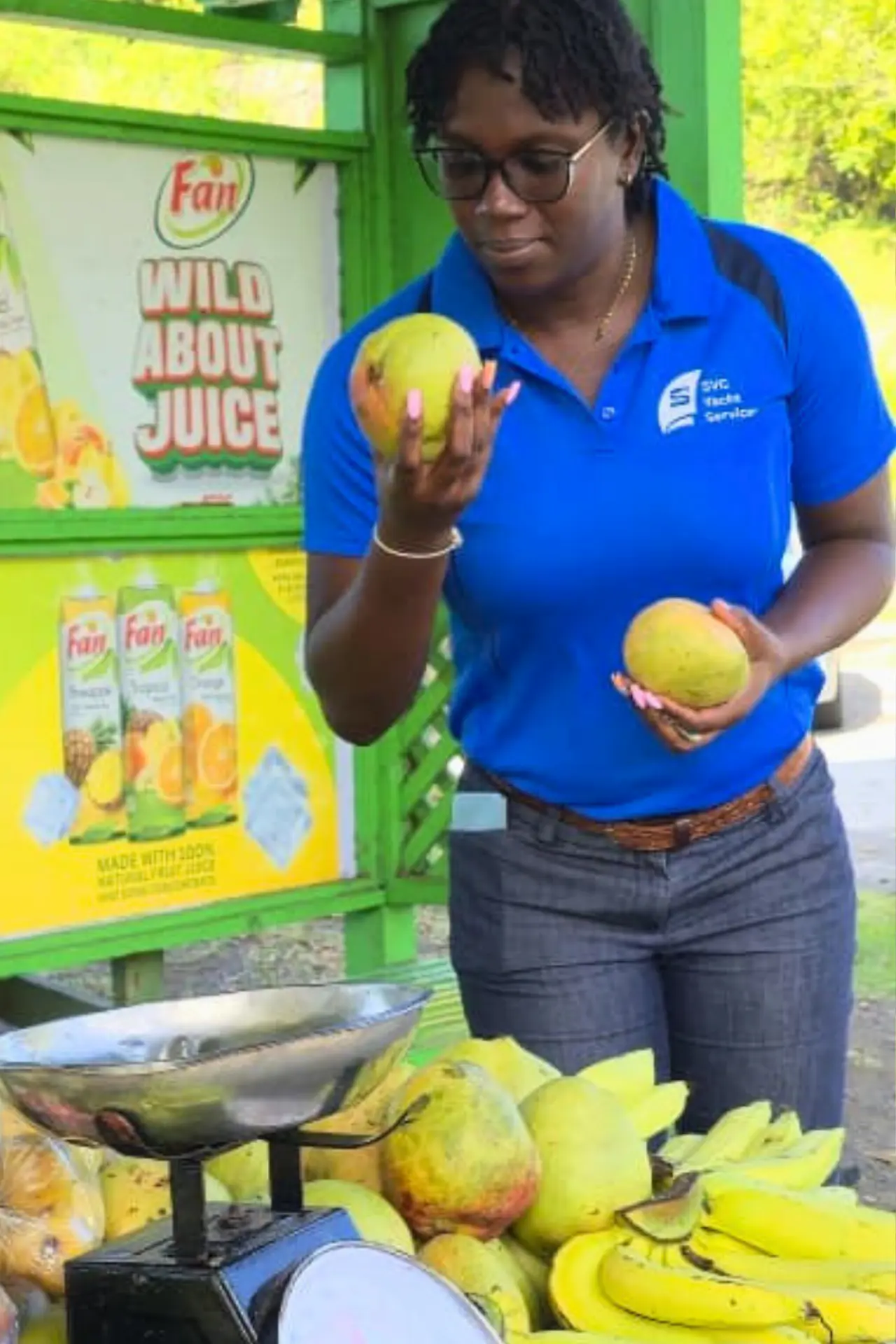 SVG Yacht Services agent selecting fresh mangoes at a local market for yacht provisioning