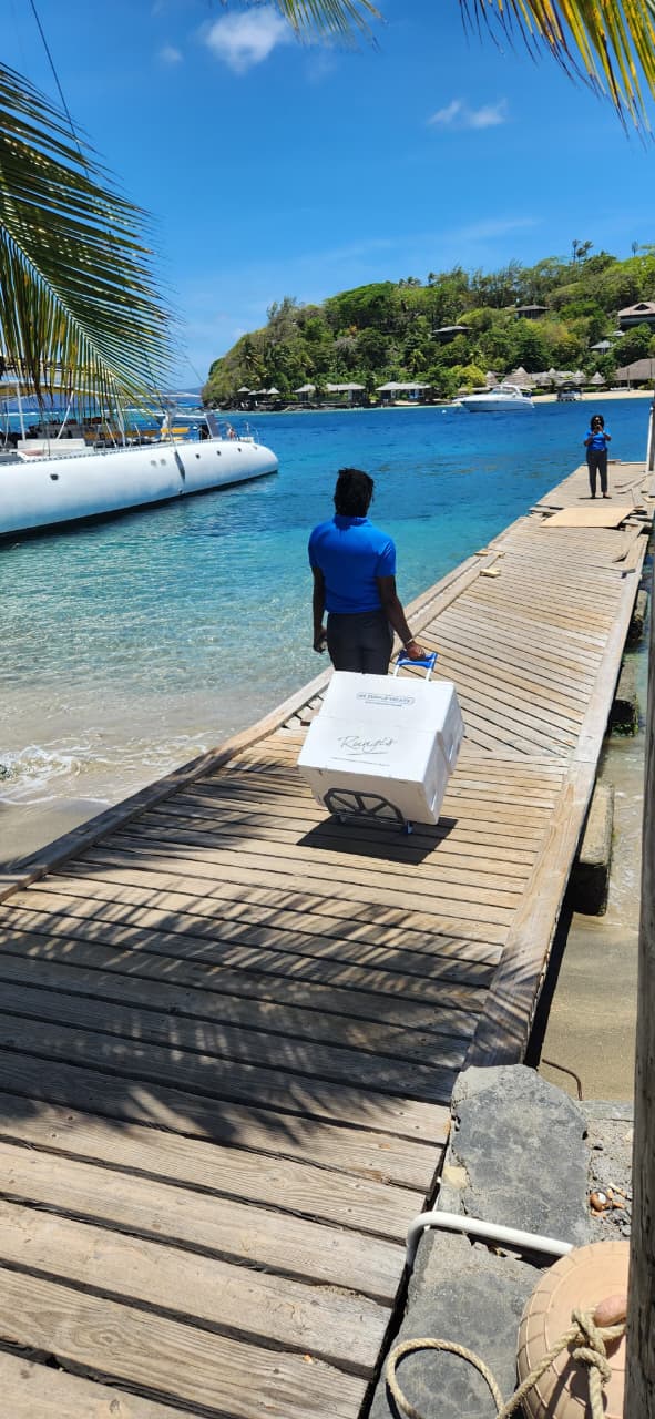 SVG Yacht Services agent walking a dock delivery out to a catamaran