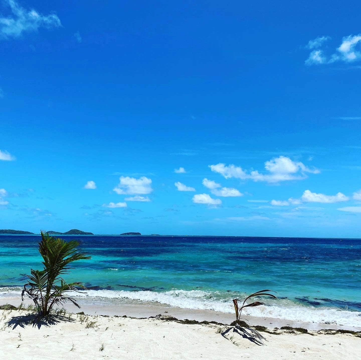 Salt Whistle Bay, Mayreau — East side beach